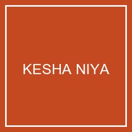 The End Pushbacks Partnership Members Partners Kesha Niya